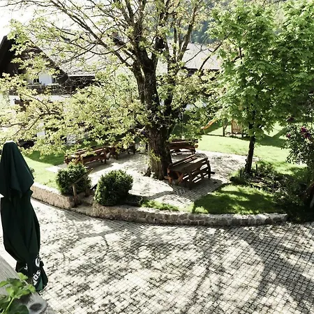 Urlaub Am Bauernhof Feldbauer * Landl (Styria)